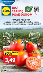 Gazetka promocyjna Lidl - GAZETKA - Gazetka - ważna od 22.07 do 22.07.2023 - strona 48 - produkty: Rolnik, Pomidory