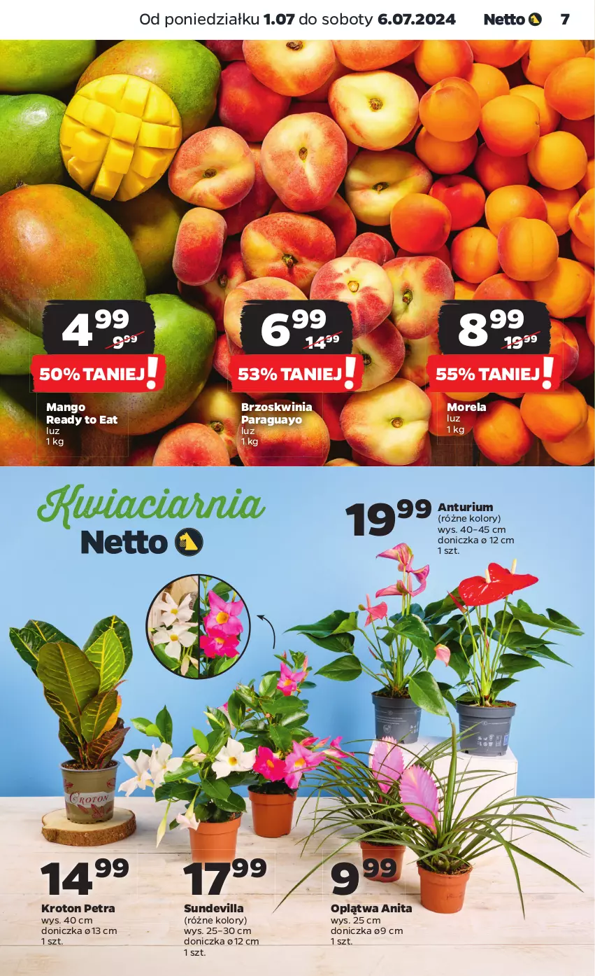 Gazetka promocyjna Netto - Od Poniedziałku - ważna 01.07 do 06.07.2024 - strona 7 - produkty: Mango, Morela