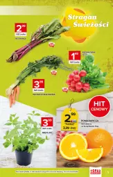 Gazetka promocyjna Topaz - Gazetka - Gazetka - ważna od 09.06 do 09.06.2021 - strona 5 - produkty: Inka, Rzodkiewka, Mięta