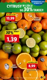 Gazetka promocyjna Lidl - GAZETKA - Gazetka - ważna od 22.03 do 22.03.2023 - strona 15 - produkty: Mandarynki, Pomarańcze