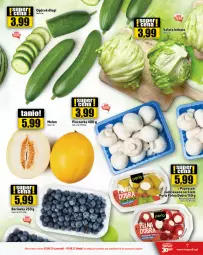 Gazetka promocyjna Topaz - Gazetka - Gazetka - ważna od 09.08 do 09.08.2023 - strona 7 - produkty: Piec, Borówka, Sałata lodowa, Ogórek, Sałat, Pieczarka