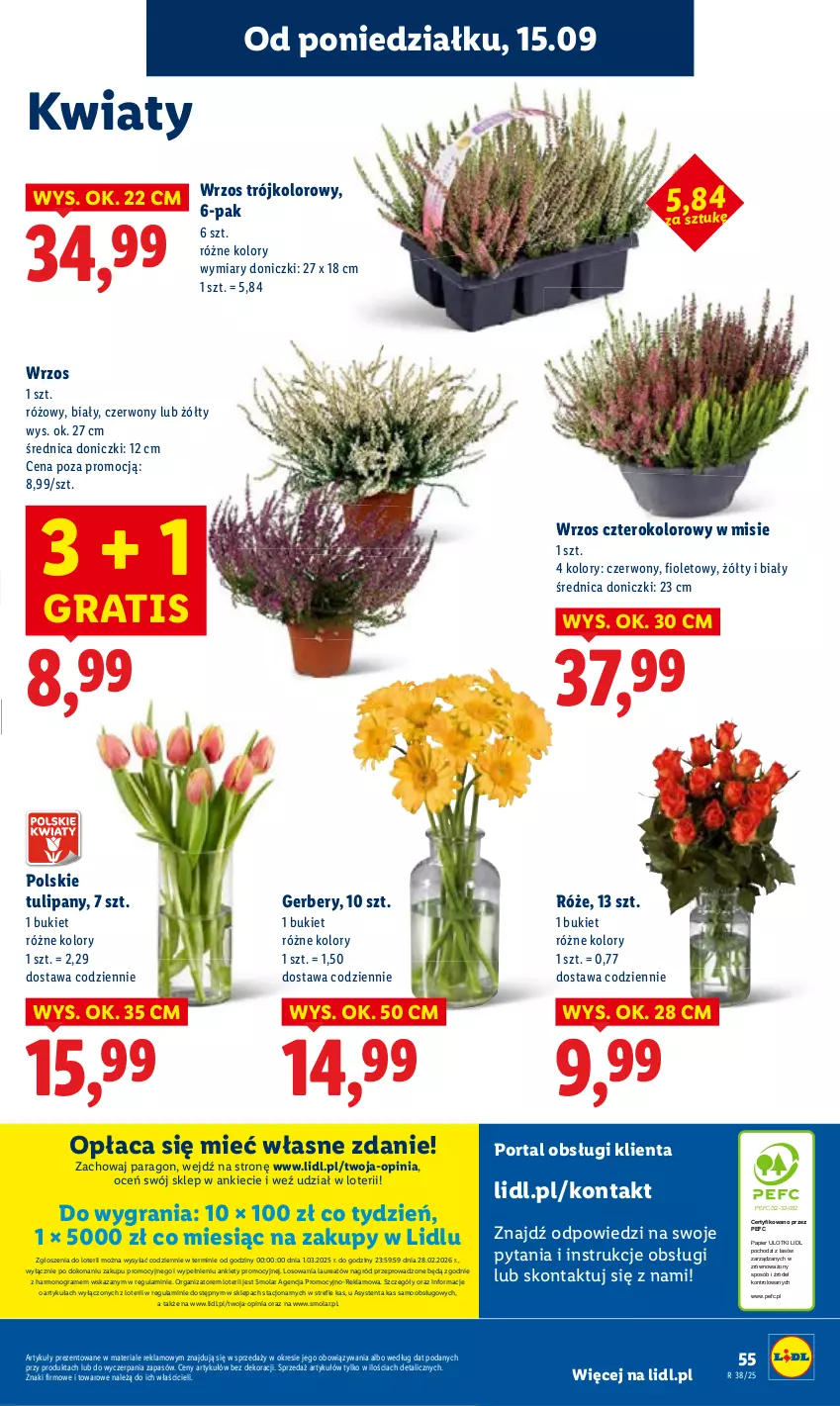 Gazetka promocyjna Lidl - GAZETKA - ważna 15.09 do 17.09.2025 - strona 61 - produkty: Bukiet, Gerber, Gra, Papier, Por, Portal, Tulipan