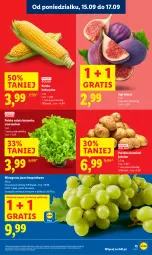 Gazetka promocyjna Lidl - GAZETKA - Gazetka - ważna od 17.09 do 17.09.2025 - strona 17 - produkty: Gra, Ziemniaki, Sałat, Winogrona, Figi, Wino, Kukurydza