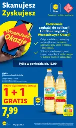 Gazetka promocyjna Lidl - GAZETKA - Gazetka - ważna od 17.09 do 17.09.2025 - strona 2 - produkty: Gra, Wazon