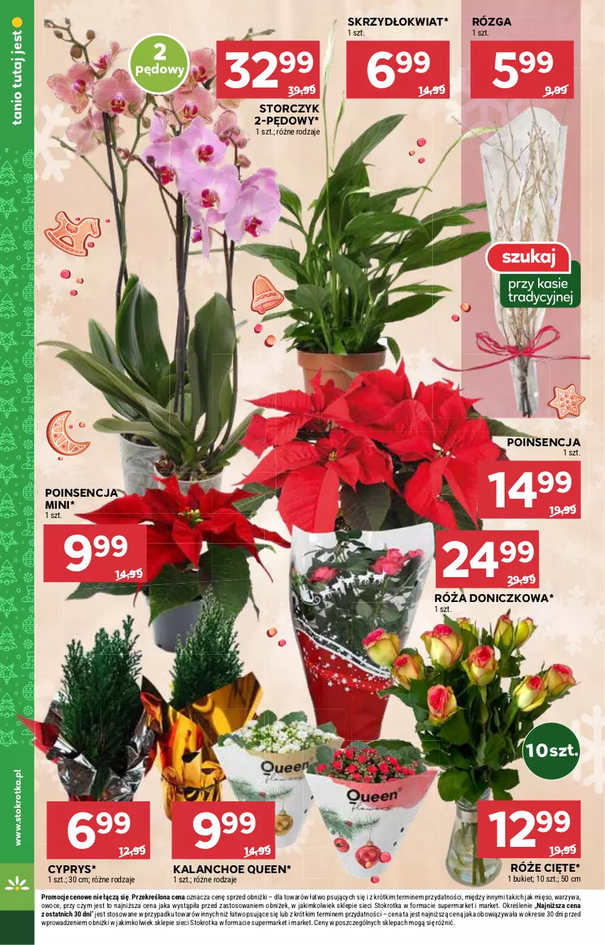 Gazetka promocyjna Stokrotka - Market - ważna 05.12 do 11.12.2024 - strona 10 - produkty: Bukiet, Kalanchoe, Mięso, Owoce, Róża, Storczyk, Warzywa