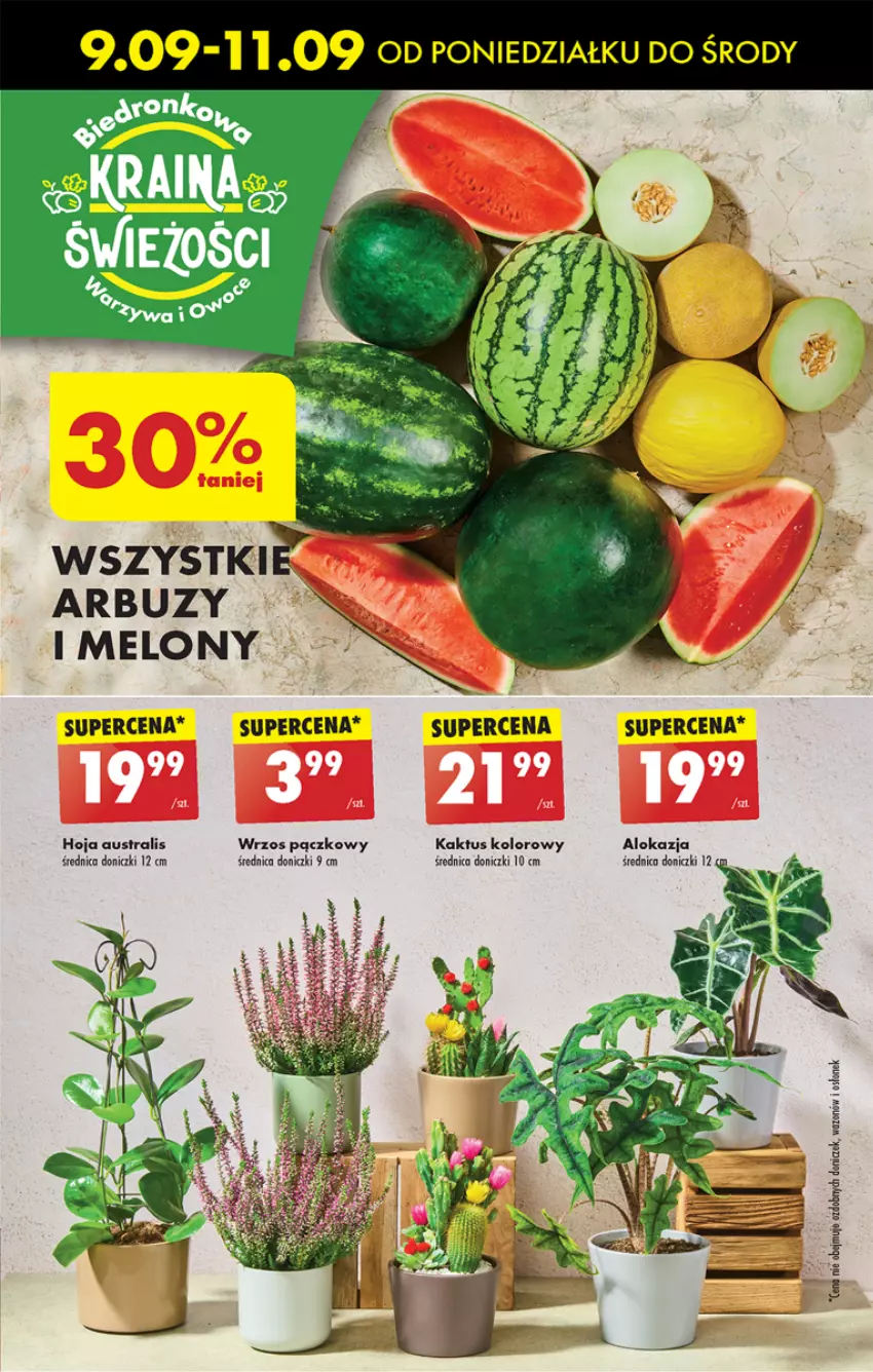 Gazetka promocyjna Biedronka - Od Poniedziałku - ważna 09.09 do 14.09.2024 - strona 27 - produkty: Arbuz, Kaktus, Melon