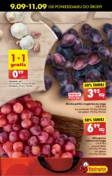 Gazetka promocyjna Biedronka - Od Poniedziałku - Gazetka - ważna od 14.09 do 14.09.2024 - strona 25 - produkty: Czosnek, Wino