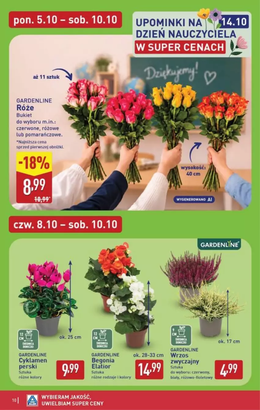 Gazetka promocyjna Aldi - Oferta weekndowa - ważna 08.10 do 10.10.2026 - strona 10 - produkty: Bukiet, Cyklamen