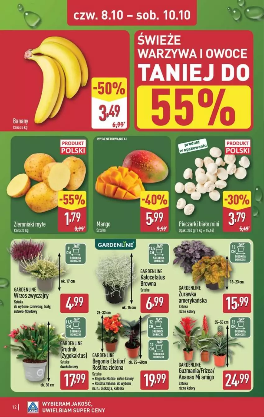 Gazetka promocyjna Aldi - Oferta weekndowa - ważna 08.10 do 10.10.2026 - strona 12 - produkty: Ananas, Fa, Kaktus, Owoce, Piec, Warzywa, Warzywa i owoce