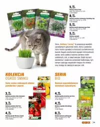 Gazetka promocyjna Obi - Gazetka - ważna od 31.05 do 31.05.2025 - strona 74 - produkty: Ser, Koc, O nas, Bazyl, Ogród