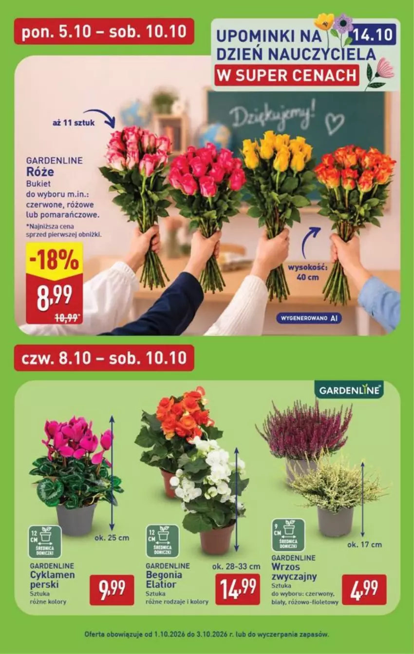 Gazetka promocyjna Aldi - Pełna oferta - ważna 05.10 do 10.10.2026 - strona 38 - produkty: Bukiet, Cyklamen