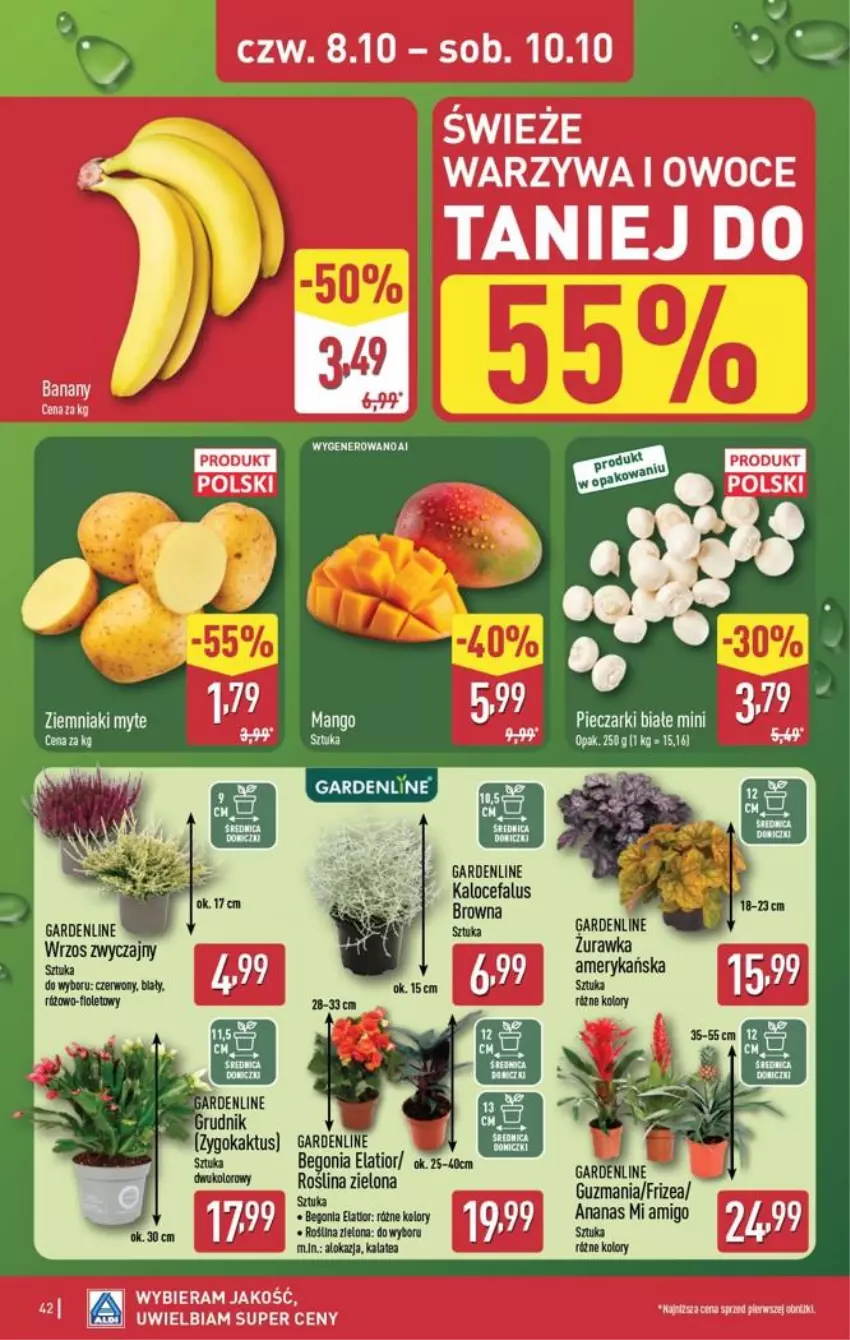 Gazetka promocyjna Aldi - Pełna oferta - ważna 05.10 do 10.10.2026 - strona 42 - produkty: Fa, Kaktus, Owoce, Piec, Warzywa, Warzywa i owoce, Ziemniaki