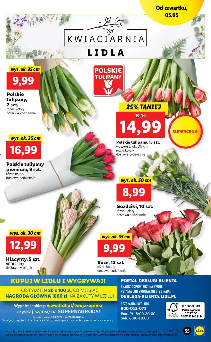 Gazetka promocyjna Lidl - GAZETKA - ważna 05.05 do 07.05.2022 - strona 55 - produkty: Gry, Hiacynt, Mola, Sok, Tulipan