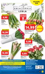 Gazetka promocyjna Lidl - GAZETKA - Gazetka - ważna od 07.05 do 07.05.2022 - strona 55 - produkty: Sok, Gry, Hiacynt, Tulipan, Mola