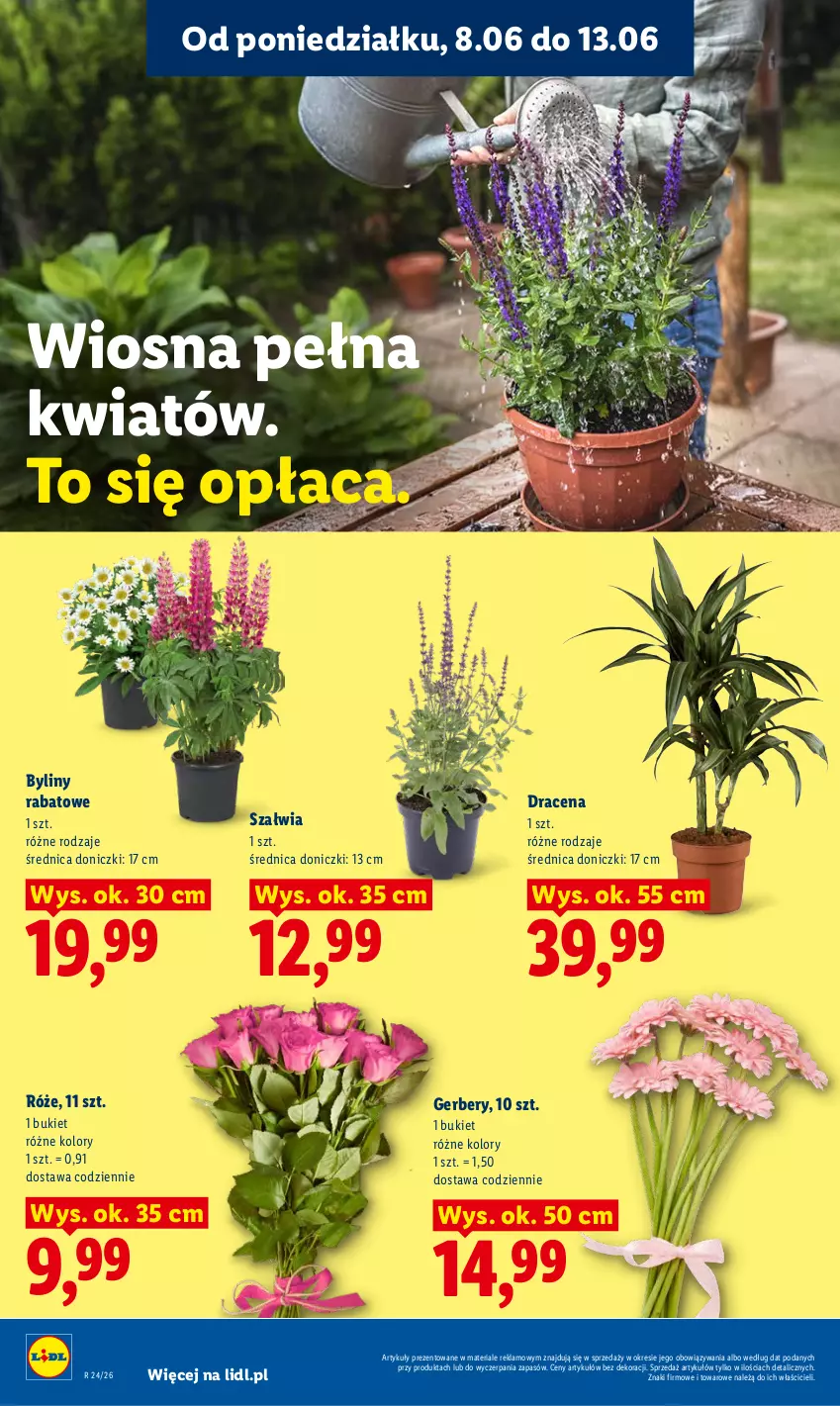 Gazetka promocyjna Lidl - Gazetka ważna od 8.06 do 10.06 - ważna 08.06 do 10.06.2026 - strona 82 - produkty: Bukiet, Gerber