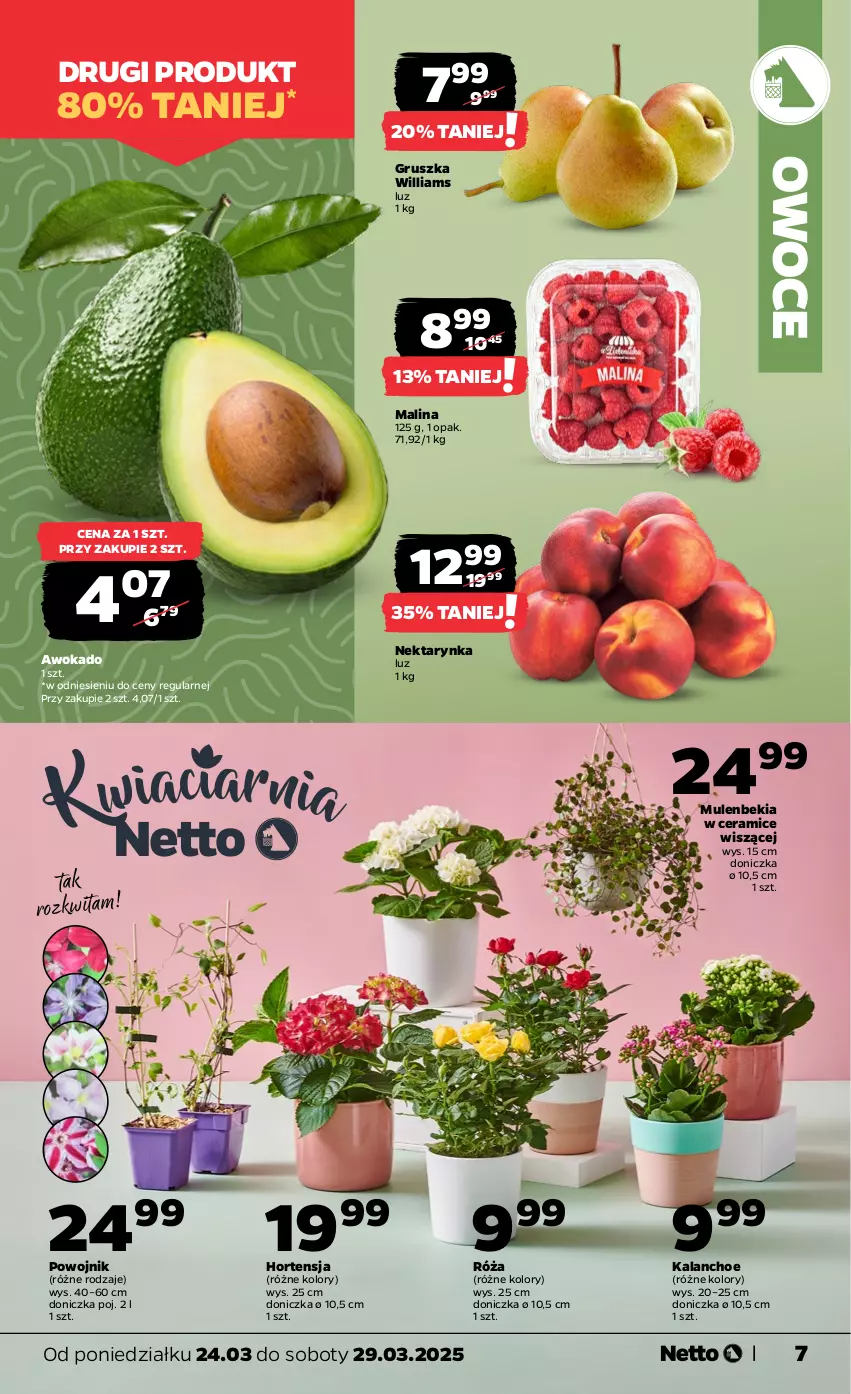 Gazetka promocyjna Netto - Od Poniedziałku - ważna 24.03 do 29.03.2025 - strona 7 - produkty: Iams, Kalanchoe, Mule, Nektar, Nektarynka, Owoce, Róża