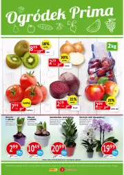 Gazetka promocyjna Prim Market - Gazetka - Gazetka - ważna od 16.02 do 16.02.2022 - strona 3 - produkty: Cebula, Sok, Hiacynt, Storczyk, Buraki, Jabłka