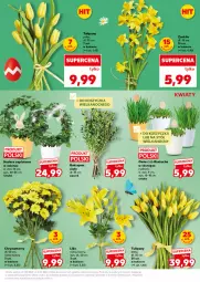 Gazetka promocyjna Kaufland - Mocny Start - Gazetka - ważna od 08.04 do 08.04.2026 - strona 15 - produkty: Tulipan, Rzeżucha, Stół, Kosz