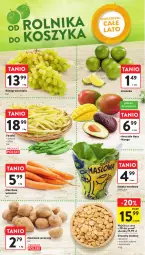 Gazetka promocyjna Intermarche - Gazetka Intermarche - Gazetka - ważna od 21.06 do 21.06.2023 - strona 14 - produkty: Sałata masłowa, Sałat, Fasola, Avocado, Limonka, Wino, Masło, Mango, Fa