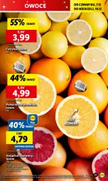 Gazetka promocyjna Lidl - GAZETKA - Gazetka - ważna od 10.12 do 10.12.2023 - strona 19 - produkty: Gra, Cytryny, Pomarańcze, Owoce, Olej, Grejpfrut