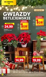 Gazetka promocyjna Lidl - GAZETKA - Gazetka - ważna od 10.12 do 10.12.2023 - strona 68 - produkty: Sok, Por, Papier, Cień, O nas, Gwiazda, Osłonka