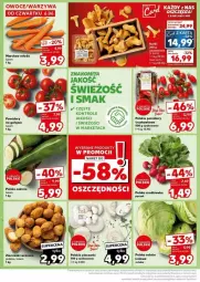 Gazetka promocyjna Kaufland - Gazetka - ważna od 12.06 do 12.06.2024 - strona 4 - produkty: Piec, Sałat, Grunt, Pomidory, Rzodkiewka, Fa