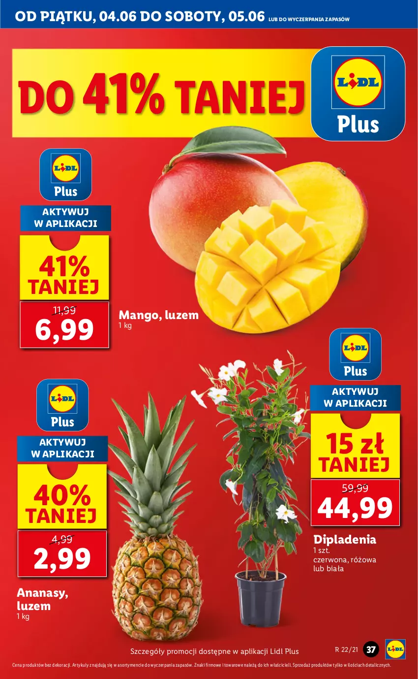 Gazetka promocyjna Lidl - GAZETKA - ważna 04.06 do 05.06.2021 - strona 37 - produkty: Ananas, Mango