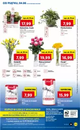 Gazetka promocyjna Lidl - GAZETKA - Gazetka - ważna od 05.06 do 05.06.2021 - strona 55 - produkty: Cień, O nas, Kalanchoe, Bukiet