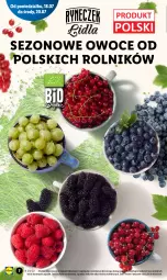 Gazetka promocyjna Lidl - GAZETKA - Gazetka - ważna od 20.07 do 20.07.2022 - strona 7 - produkty: Rolnik, Owoce