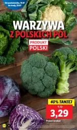 Gazetka promocyjna Lidl - GAZETKA - Gazetka - ważna od 20.07 do 20.07.2022 - strona 9 - produkty: Warzywa