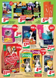 Gazetka promocyjna Dino - Gazetka - Gazetka - ważna od 31.10 do 31.10.2022 - strona 26 - produkty: Mokra karma, Kolorowanka, Felix, Sucha karma