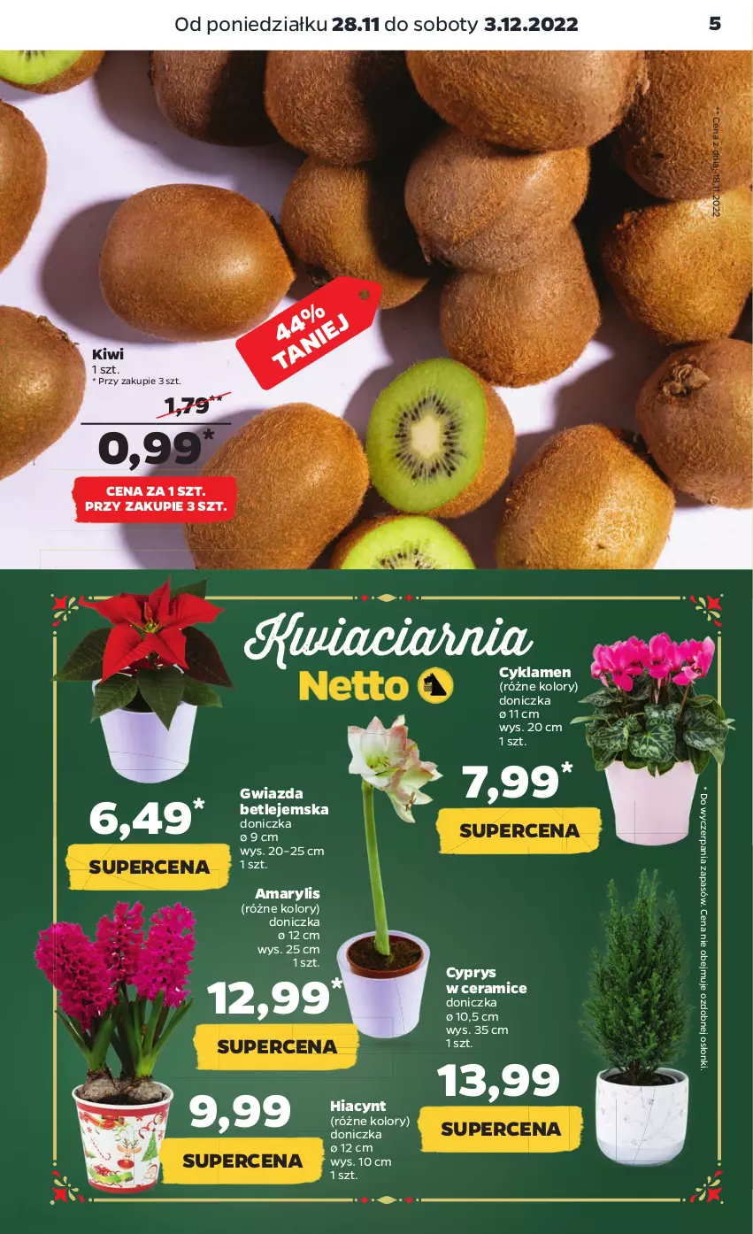 Gazetka promocyjna Netto - Artykuły spożywcze - ważna 28.11 do 03.12.2022 - strona 5 - produkty: Amarylis, Cyklamen, Gwiazda, Hiacynt, Kiwi