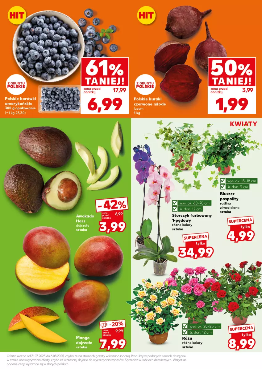 Gazetka promocyjna Kaufland - Mocny Start - ważna 04.08 do 06.08.2025 - strona 11 - produkty: Buraki, Fa, Grunt, Mango, Róża, Storczyk