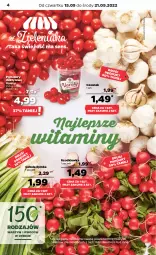 Gazetka promocyjna Netto - Artykuły spożywcze - Gazetka - ważna od 21.09 do 21.09.2022 - strona 4 - produkty: Cebula, Czosnek, Pomidory, Rzodkiewka