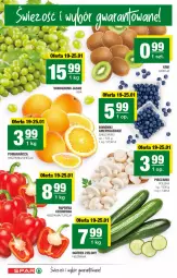 Gazetka promocyjna Spar - Spar - Gazetka - ważna od 26.01 do 26.01.2022 - strona 2 - produkty: Papryka czerwona, Papryka, Ogórek, Wino