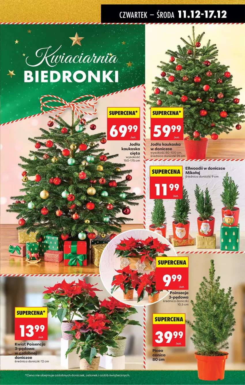 Gazetka promocyjna Biedronka - Od Czwartku - ważna 11.12 do 17.12.2025 - strona 24 - produkty: Kask, Poinsecja, Sok