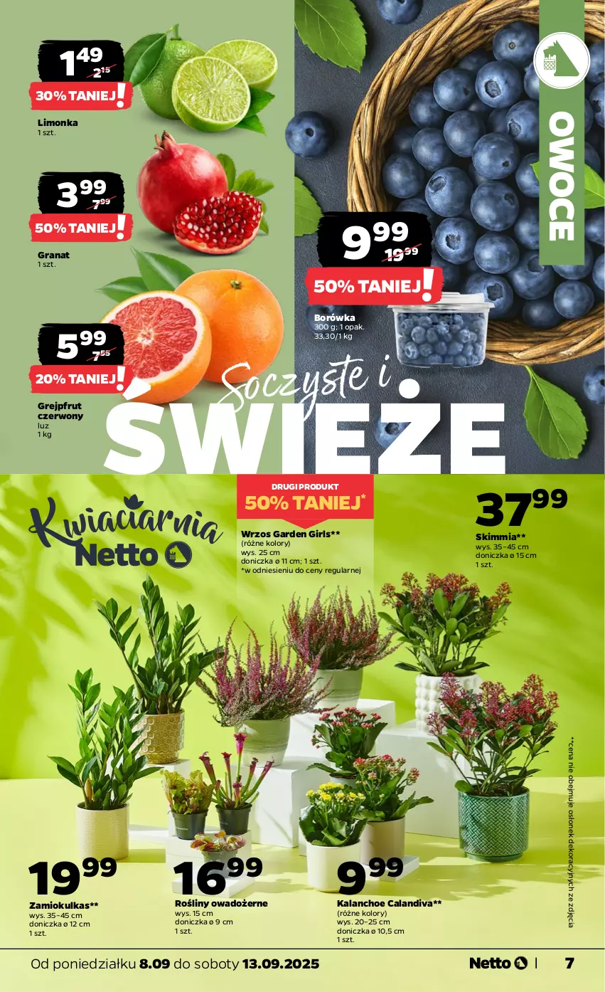 Gazetka promocyjna Netto - Od Poniedziałku - ważna 08.09 do 13.09.2025 - strona 7 - produkty: Borówka, Gra, Granat, Grejpfrut, Kalanchoe, Limonka, Owoce