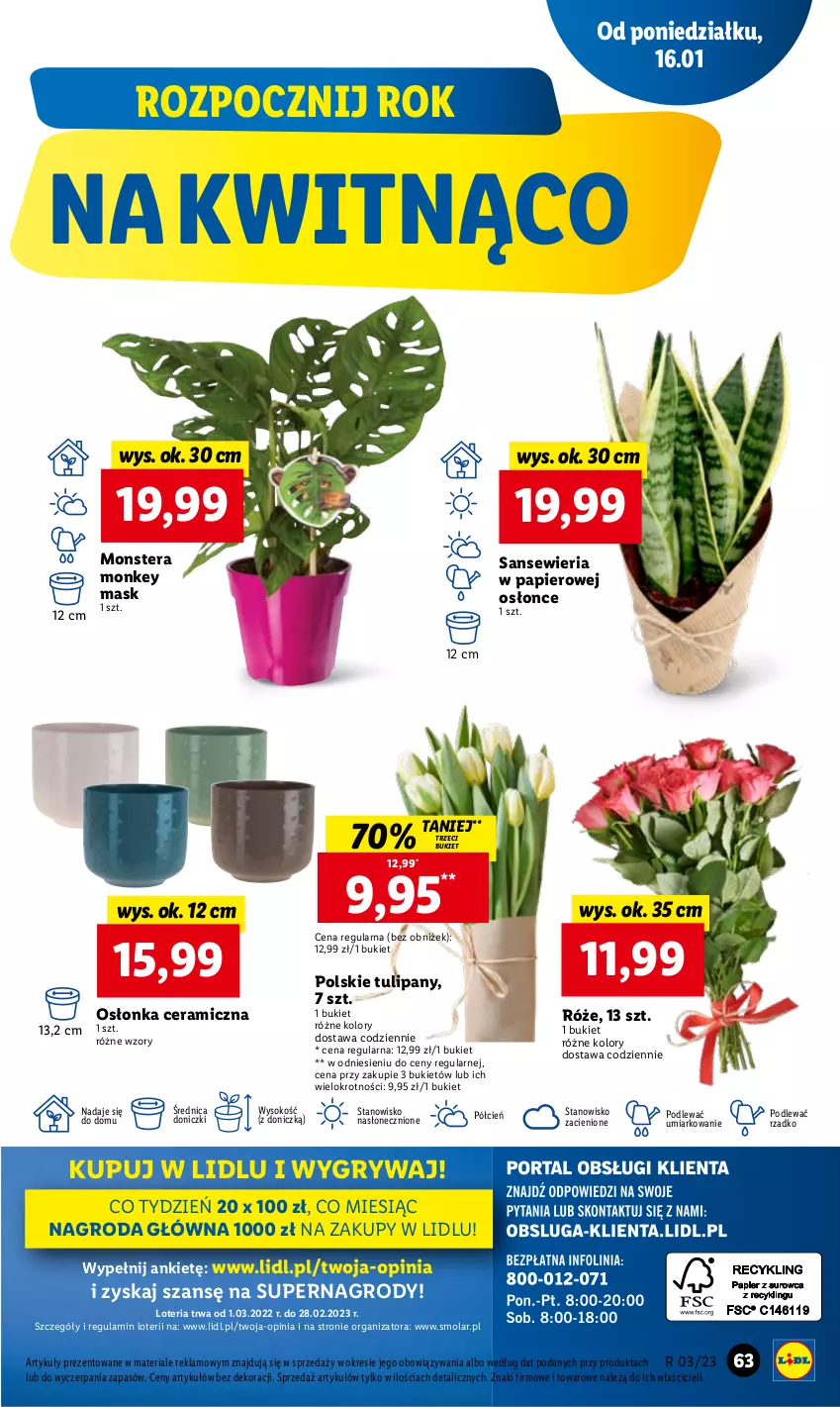 Gazetka promocyjna Lidl - GAZETKA - ważna 16.01 do 18.01.2023 - strona 69 - produkty: Bukiet, Cień, Gry, Mola, O nas, Osłonka, Papier, Sok, Tera, Tulipan