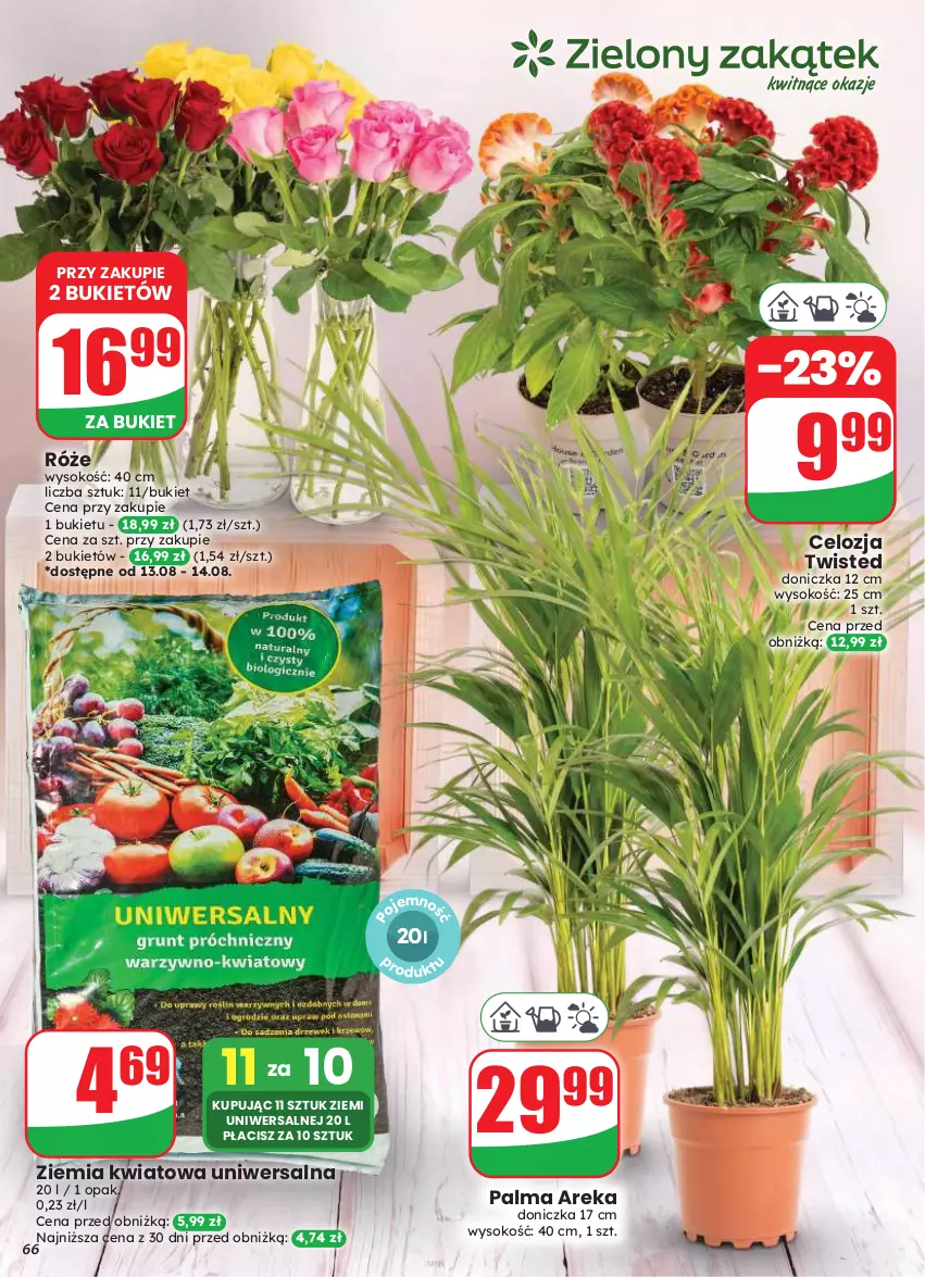 Gazetka promocyjna Dino - Gazetka 33 / 2026 - ważna 12.08 do 18.08.2026 - strona 66 - produkty: Bukiet, Palma, Sok