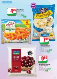 Gazetka promocyjna Dino - Gazetka 33 / 2026 - Gazetka - ważna od 18.08 do 18.08.2026 - strona 37 - produkty: Pierogi, Marchewka, Ser, Kuchnia, Stek, Produkty mrożone, Ogród, Hortex