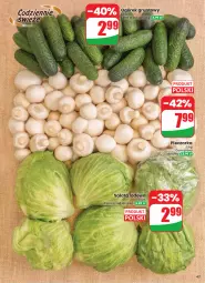 Gazetka promocyjna Dino - Gazetka 33 / 2026 - Gazetka - ważna od 18.08 do 18.08.2026 - strona 47 - produkty: Piec, Sałata lodowa, Ogórek, Sałat, Pieczarka, Grunt
