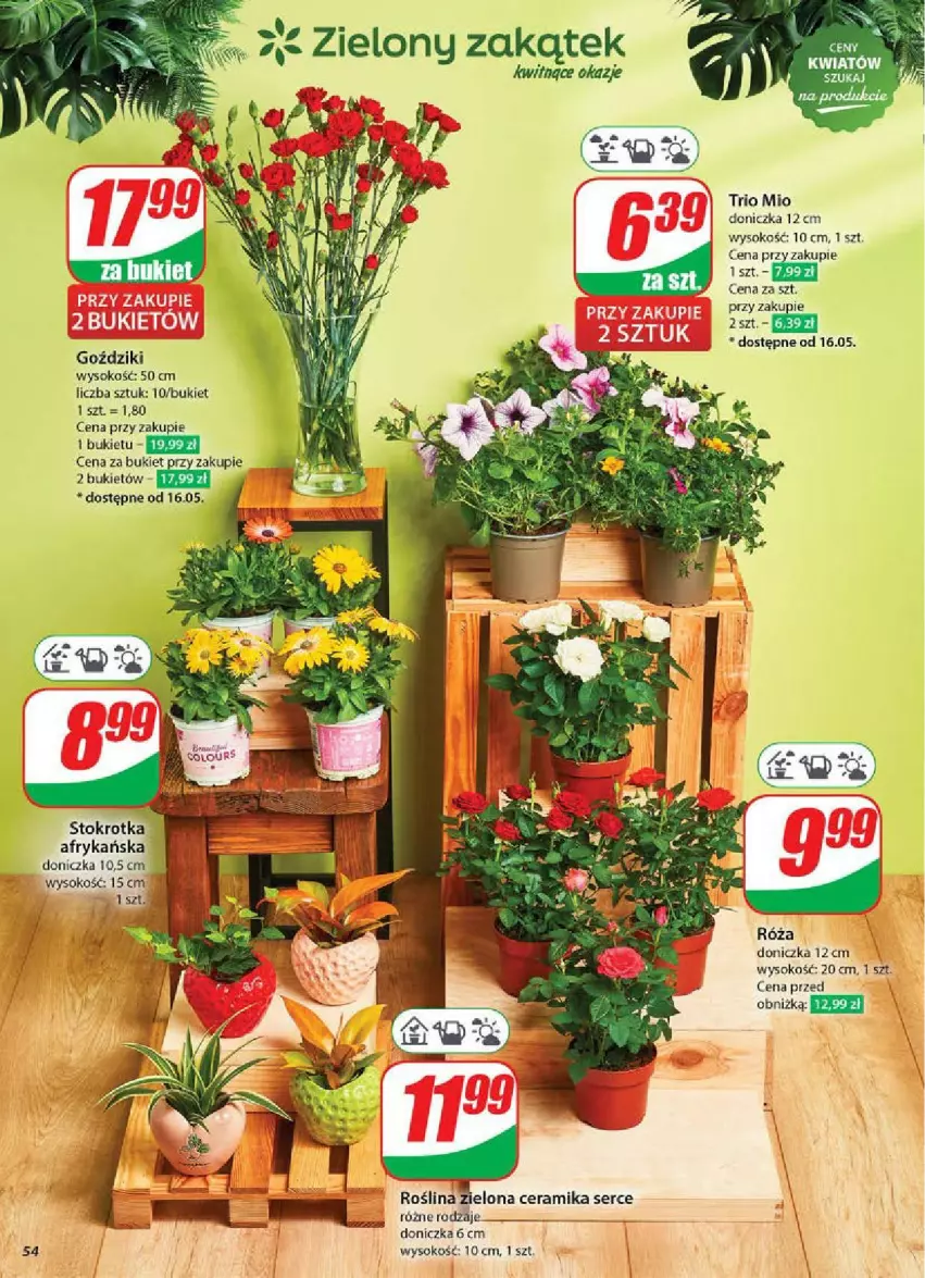 Gazetka promocyjna Dino - ważna 14.05 do 20.05.2025 - strona 50 - produkty: Bukiet, Róża, Ser, Sok