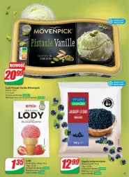 Gazetka promocyjna Dino - Gazetka - ważna od 20.05 do 20.05.2025 - strona 25 - produkty: Jagody, Lody, Ogród