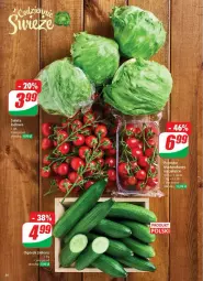 Gazetka promocyjna Dino - Gazetka - ważna od 20.05 do 20.05.2025 - strona 30 - produkty: Sałata lodowa, Ogórek, Sałat, HP
