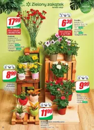 Gazetka promocyjna Dino - Gazetka - ważna od 20.05 do 20.05.2025 - strona 50 - produkty: Sok, Ser, Róża, Bukiet