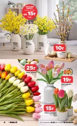 Gazetka promocyjna Netto - Od Czwartku - Gazetka - ważna od 18.03 do 18.03.2026 - strona 6 - produkty: Tulipan, Bukiet, Narcyz