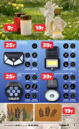 Gazetka promocyjna Netto - Od Czwartku - Gazetka - ważna od 18.03 do 18.03.2026 - strona 7 - produkty: Wycieraczka, Kamery, Znicz, Lampa