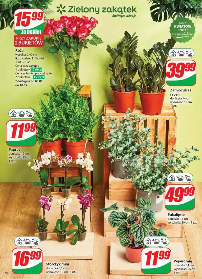 Gazetka promocyjna Dino - ważna 07.05 do 13.05.2025 - strona 50 - produkty: Bukiet, Sok, Storczyk