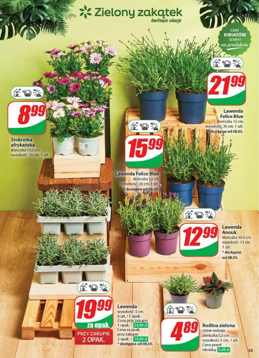 Gazetka promocyjna Dino - ważna 07.05 do 13.05.2025 - strona 51 - produkty: Sok