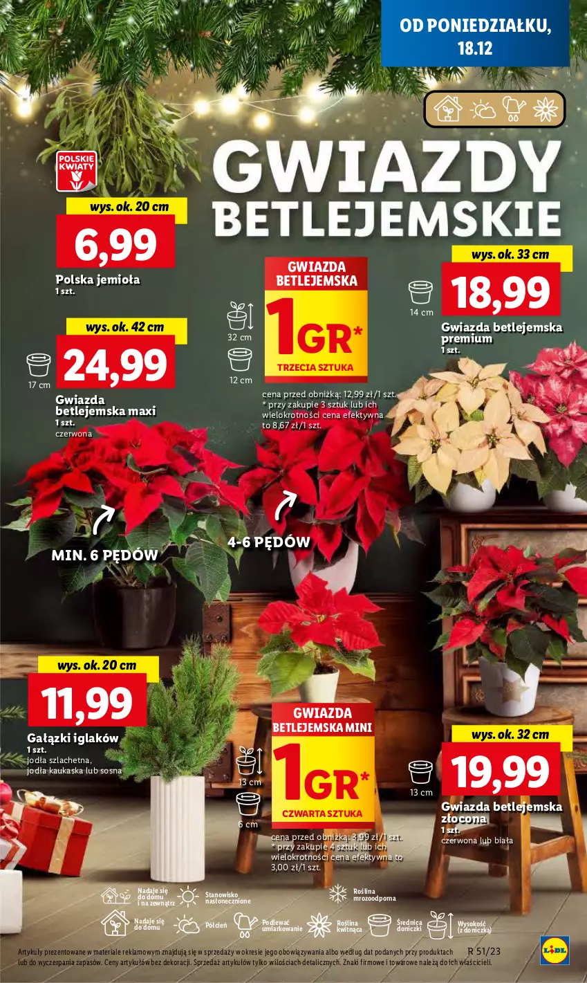 Gazetka promocyjna Lidl - GAZETKA - ważna 18.12 do 20.12.2023 - strona 45 - produkty: Cień, Gwiazda, Kask, O nas, Por, Sok, Sos